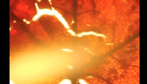 Screen Shot 2016-08-10 at 7.49.55 PM