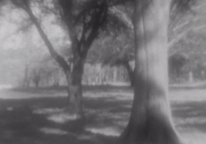 Screen Shot 2016-08-12 at 11.21.47 AM